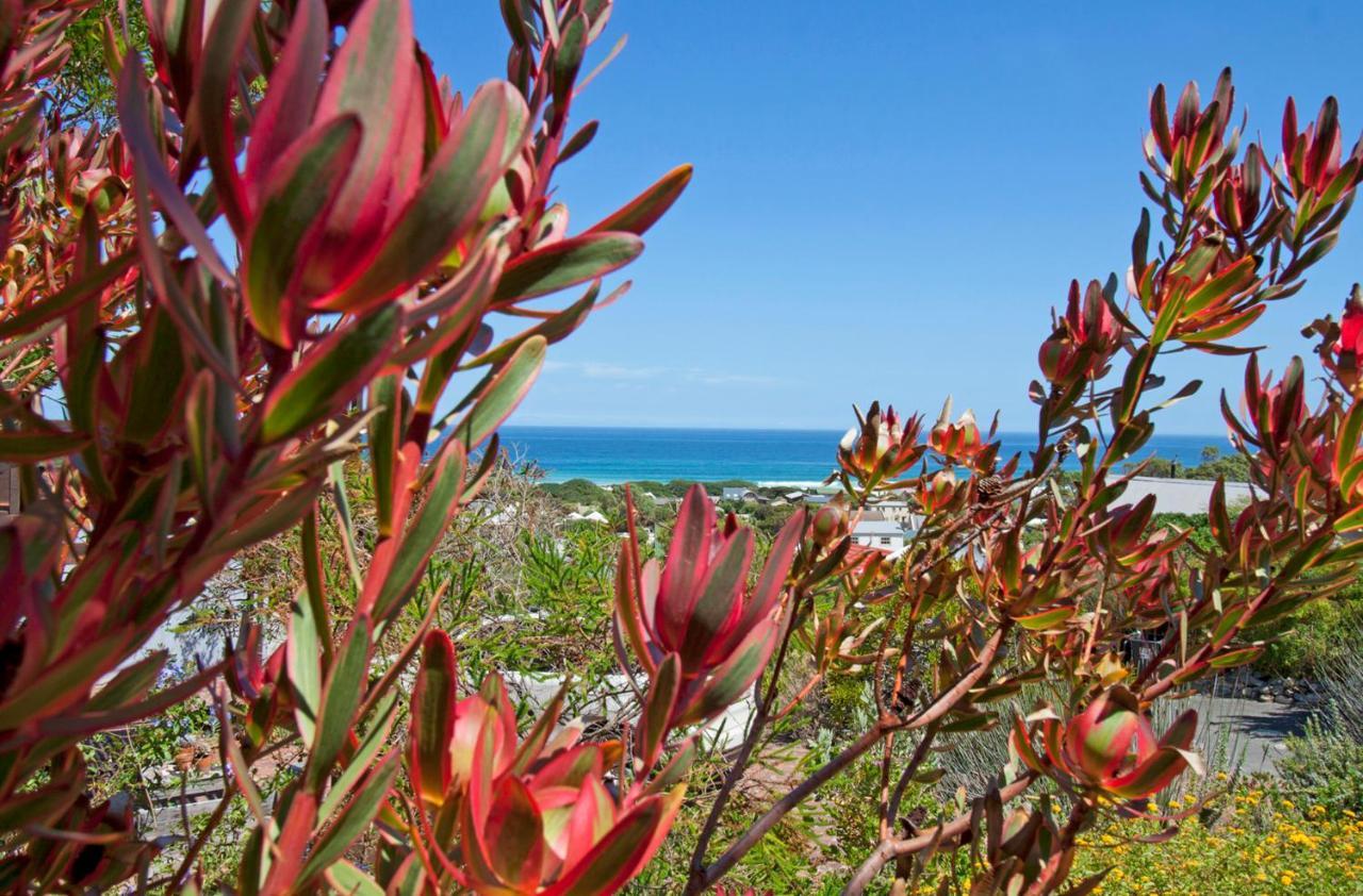 Apartment 55 On Main And Fish Hoek